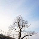 달전회관 이미지