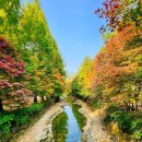 산림욕장 이미지