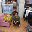 고려이용소