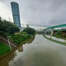 도림천로 이미지