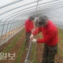 청림동행정복지센터 이미지