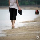 무안낙지 이미지