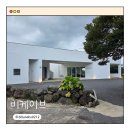 도영목장 | 제주 스냅 카페 비케이브 인생샷 동굴카페