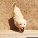 말뚝목장 이미지