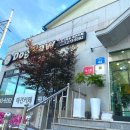 도그파우 이미지