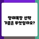 변화목장 | 양떼목장 여행 어디로 갈까 비교분석과 선택 팁