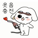 새로자동차배터리출장밧데리 이미지