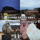 무장초등길 | 초등학생과 성산일출봉 일출보기 소요시간 방문자여권 스탬프위치