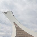 (주)시내바이오 이미지