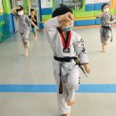 경희대태백태권도장 이미지