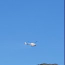 푸른항공방제