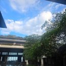 ㈜버디카서비스 | 발리 신혼여행 캠핀스키 5성급 리조트 방문 후기(ft. 디럭스룸)