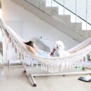 스테이독 이미지