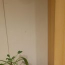 길음메디칼약국 이미지