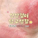에스쁘아 노웨어 립스틱 바밍 글로우 | 미스틱 피그 나잇 아웃 발색 후기