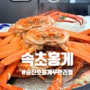 2226 | 속초홍게 무한리필 후기 '승진호홍게 무한리필' │대게보다 가성비 좋은 홍게, 가족 외식으로 딱!