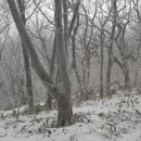 1박2일 아래 이미지