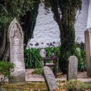 블루몬스터 이미지