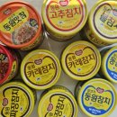 동원기획 | 동원참치 기획세트 가격부터 동원참치종류까지 살펴보기 내돈내산 :)