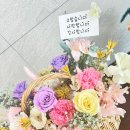 새아라아뜰리에