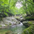 가평 자연민박 이미지