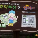 양희숙농장 네이버블로그