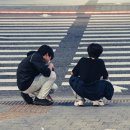 횡단보도 부근 이미지