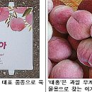 대홍유통