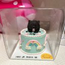 페리토리(perritory) | 강아지 생일케이크 "페리토리"