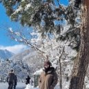 강촌로2 이미지