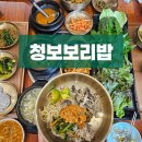 능원 | [용인] 15개월 아기랑 다녀온 레이크사이드CC 맛집 청보보리밥 능원점 솔직후기