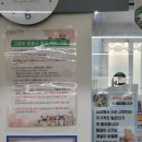 야옹아 놀자 | 인천 무마취 고양이 미용 야옹아놀자 후기