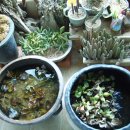 환영농장 이미지