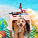 하률로12번길 이미지