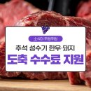 지원한우농장 티스토리
