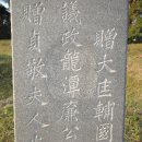 철종외가묘 티스토리