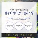 라엘르의원 네이버블로그