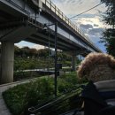 장미공원C | 뚝방길 &lt;중랑 장미카페&gt;가 리뉴얼 되었어요 :)