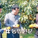 경남단감 원예농업협동조합 이미지