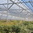 김태준농장 이미지