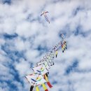 대진대학교 공공정책대학원 이미지