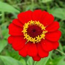 남도마당 이미지