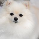 은계동물병원 이미지