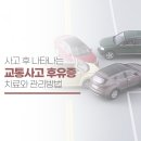 안심한의원 티스토리
