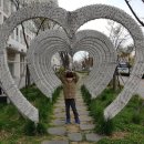 양재대로62길 이미지