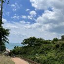 은빛바다민박 | [남해여행] 다랭이마을 그리고 논+바다뷰를 보며 식사하는 시골할머니막걸리 솔직후기!