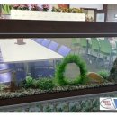 (주)디스플레이테크 이미지