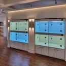 퍼피빌리지 이미지