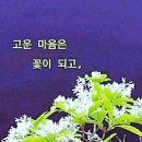 돼지영농후계자 상봉점 이미지