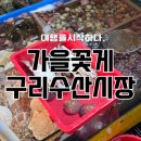 춘천농수산물도매시장 | 구리수산시장 꽃게, 대하 서해수산에서 포장 내돈내산 후기!